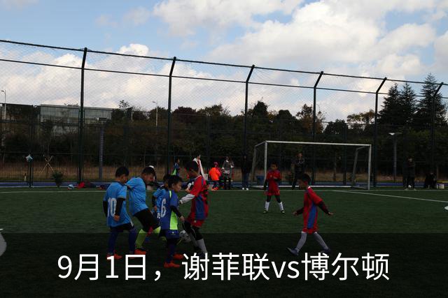 9月1日，谢菲联vs博尔顿