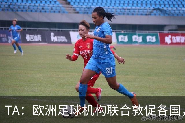 TA：欧洲足球机构联合敦促各国，不要一刀切禁止客队球迷入场